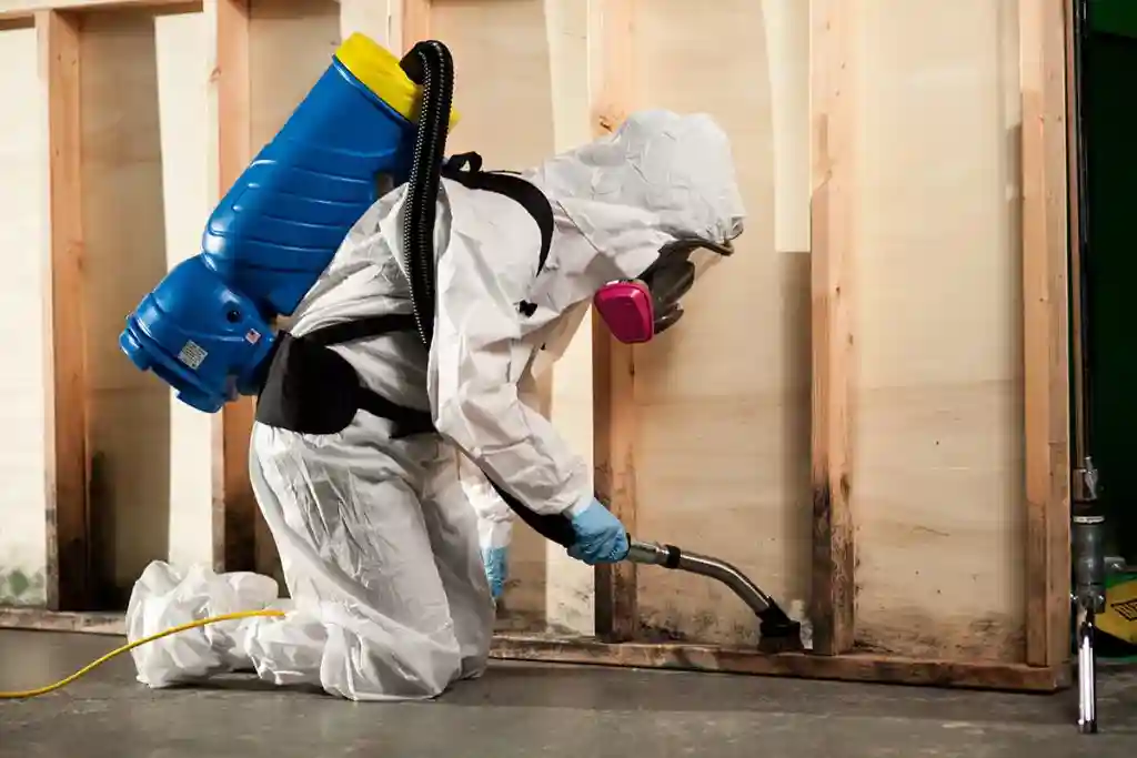 WDR PRO’s - Water Damage Restoration Service